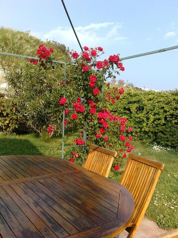 B&B Ariadamare Sanremo Dış mekan fotoğraf